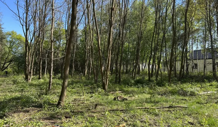 Działka budowlana Musuły, ul. Kwiatu Paproci