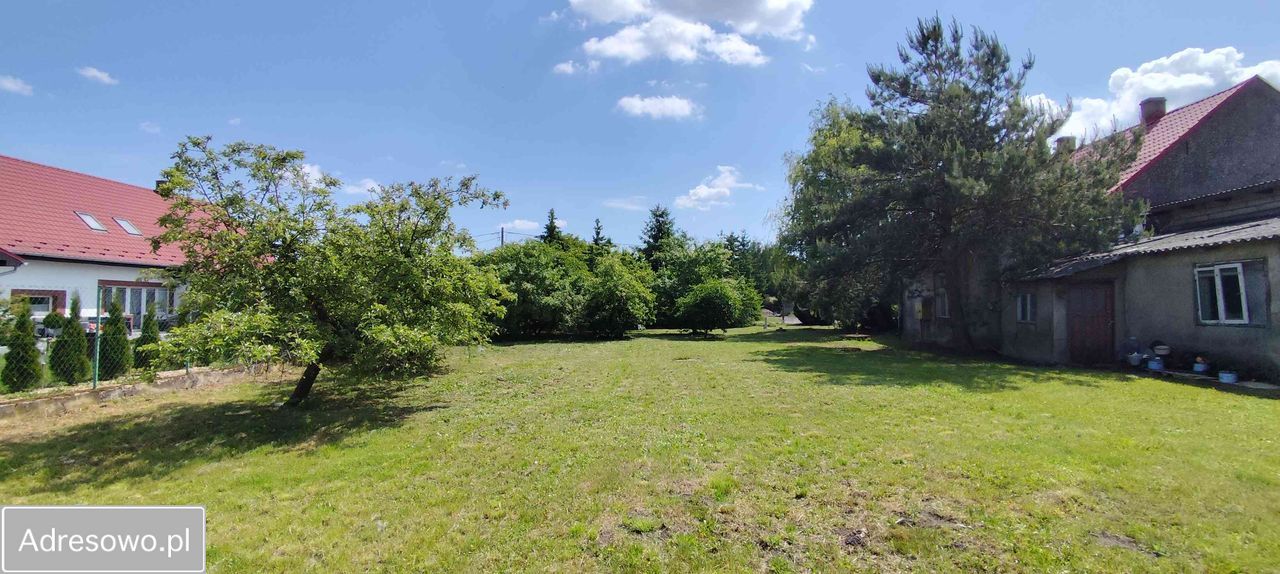 siedlisko, 4 pokoje Gola Górowska. Zdjęcie 16