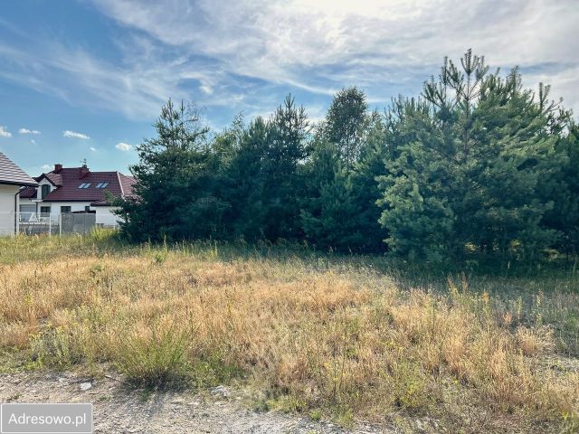 Działka budowlana Stara Wieś, ul. Leśne Zacisze. Zdjęcie 1