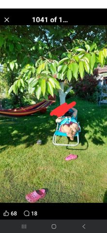 Działka rekreacyjna Jastrzębie-Zdrój Zofiówka, ul. Wojciecha Korfantego. Zdjęcie 1