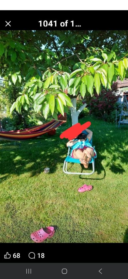 Działka rekreacyjna Jastrzębie-Zdrój Zofiówka, ul. Wojciecha Korfantego. Zdjęcie 1