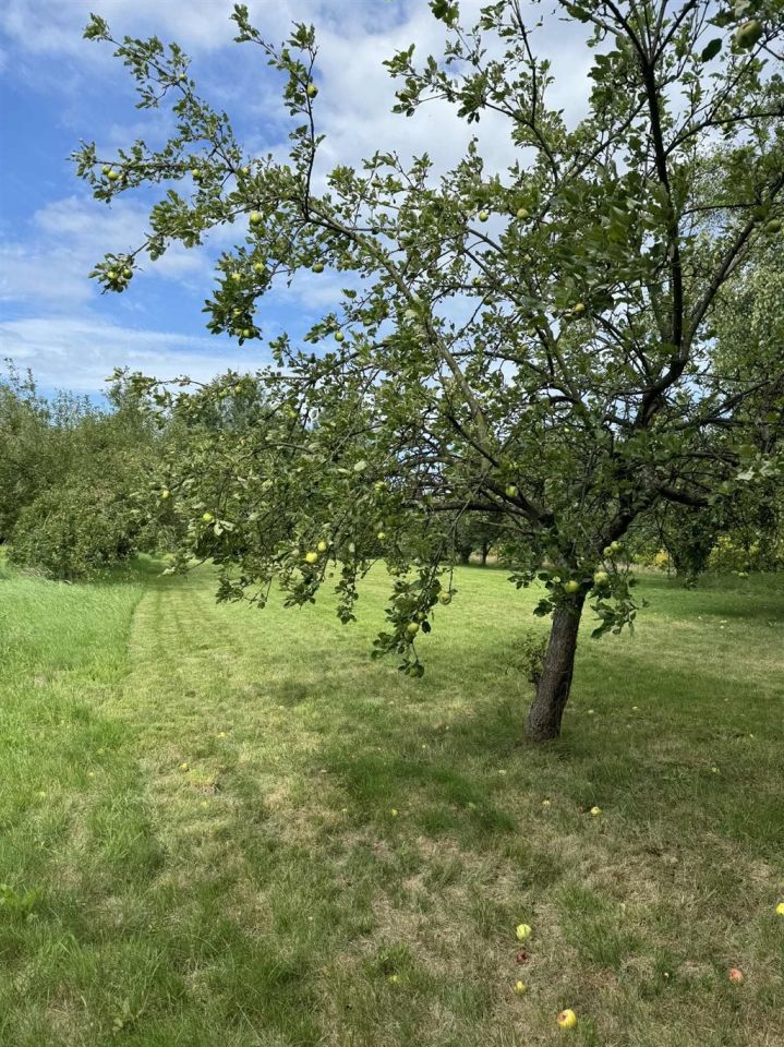 Działka Kęty. Zdjęcie 18