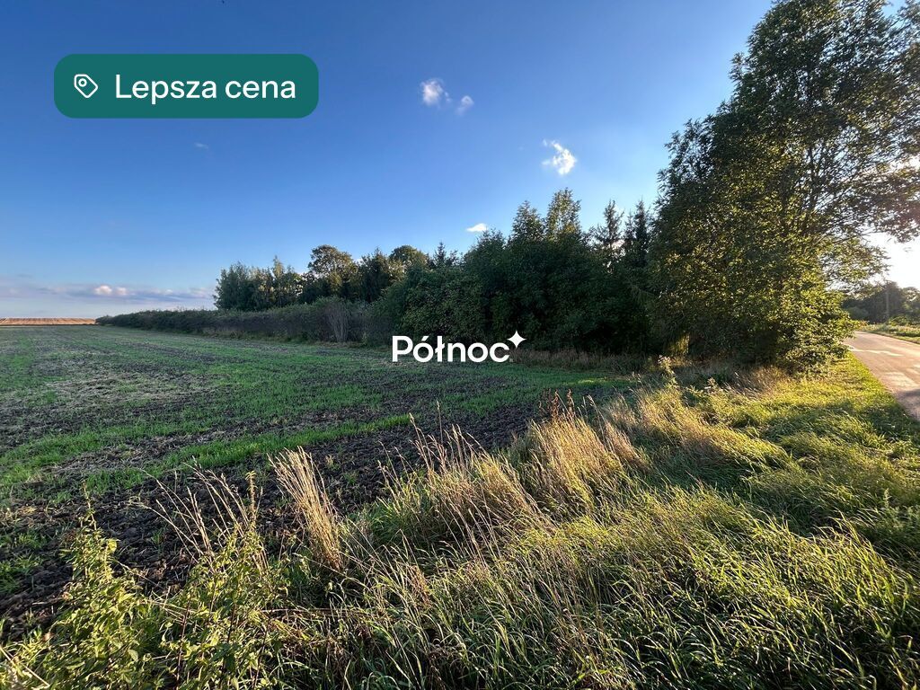 Działka Popławy. Zdjęcie 4