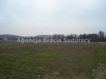 Działka inwestycyjna Morawica. Zdjęcie 4