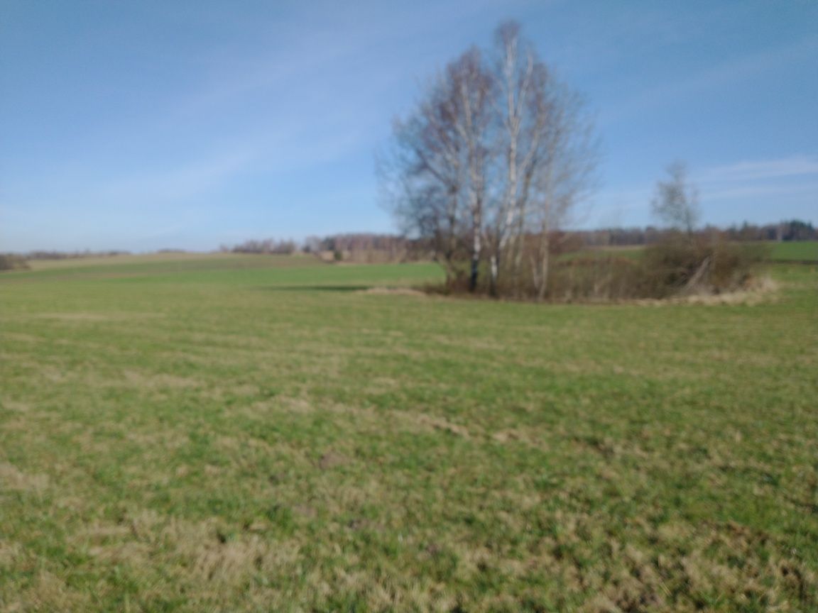 Działka siedliskowa Glebiska. Zdjęcie 2