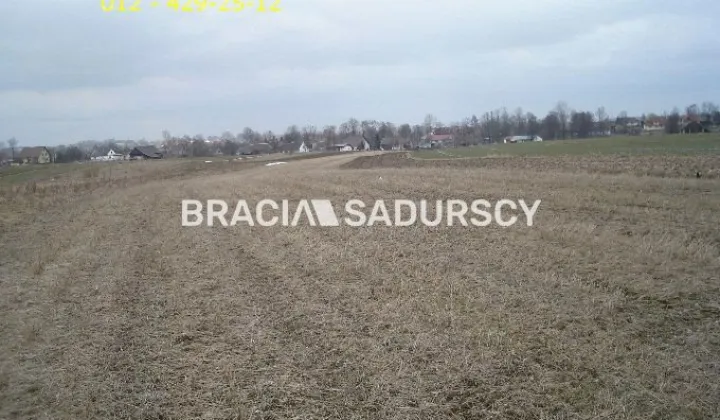 Działka rolno-budowlana Niewiarów