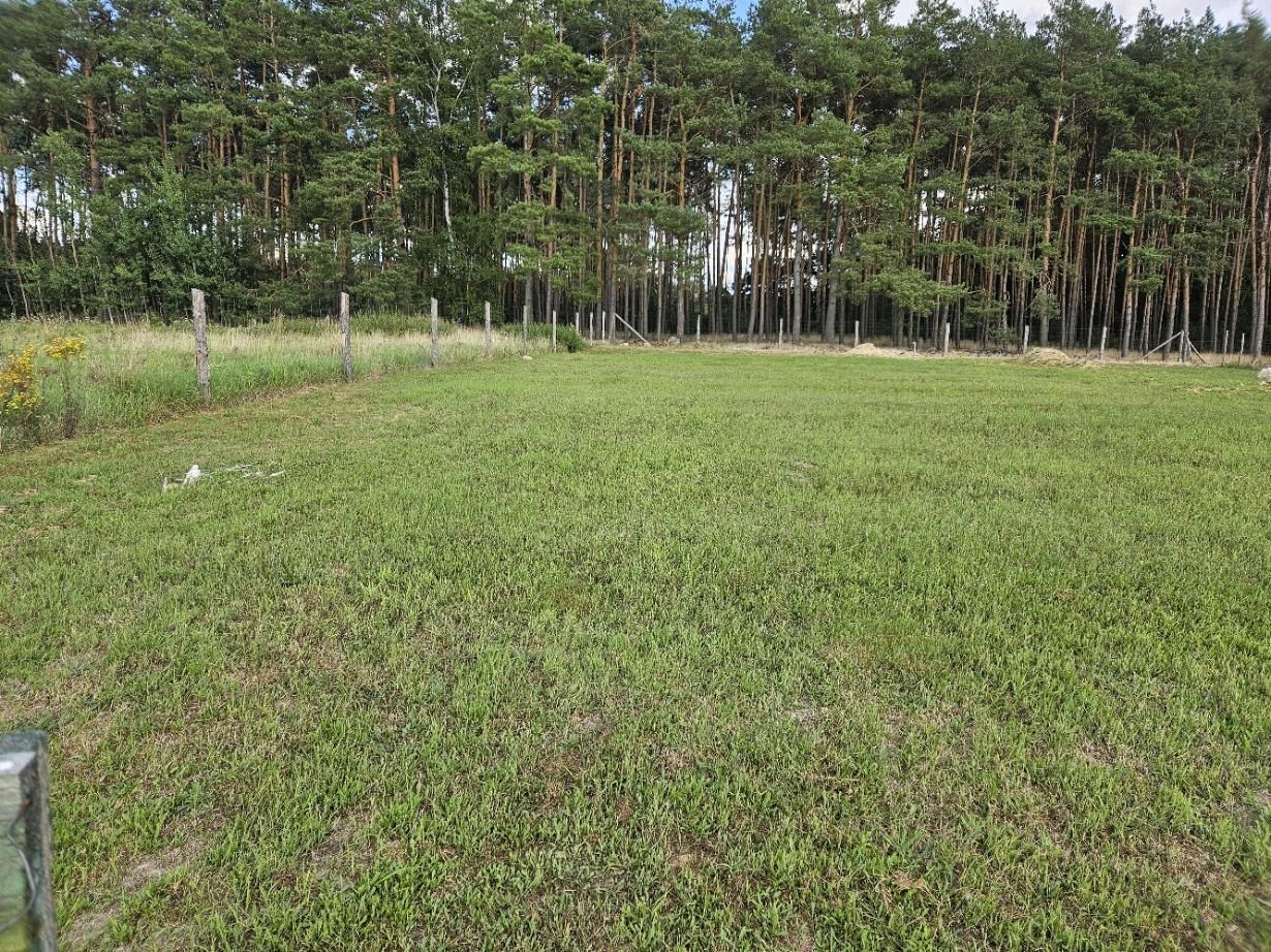 Działka budowlana Dąbie. Zdjęcie 3