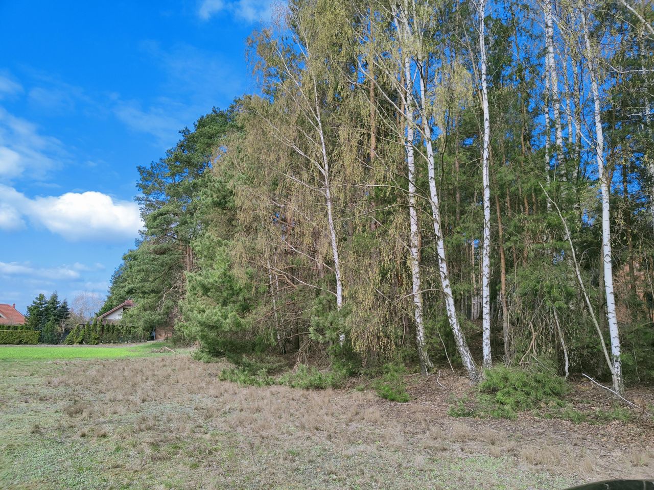 Działka rolna Lubiaszów Nowy Lubiaszów, ul. Akacjowa. Zdjęcie 2