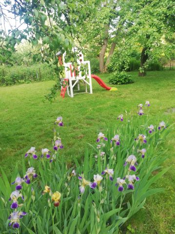 Działka rod Warszawa Siekierki, ul. Antoniewska. Zdjęcie 1