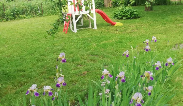 Działka rod Warszawa Siekierki, ul. Antoniewska