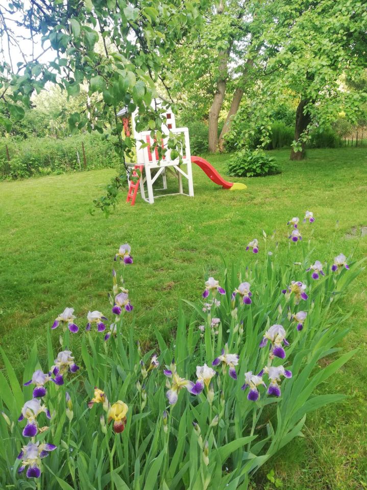 Działka rod Warszawa Siekierki, ul. Antoniewska