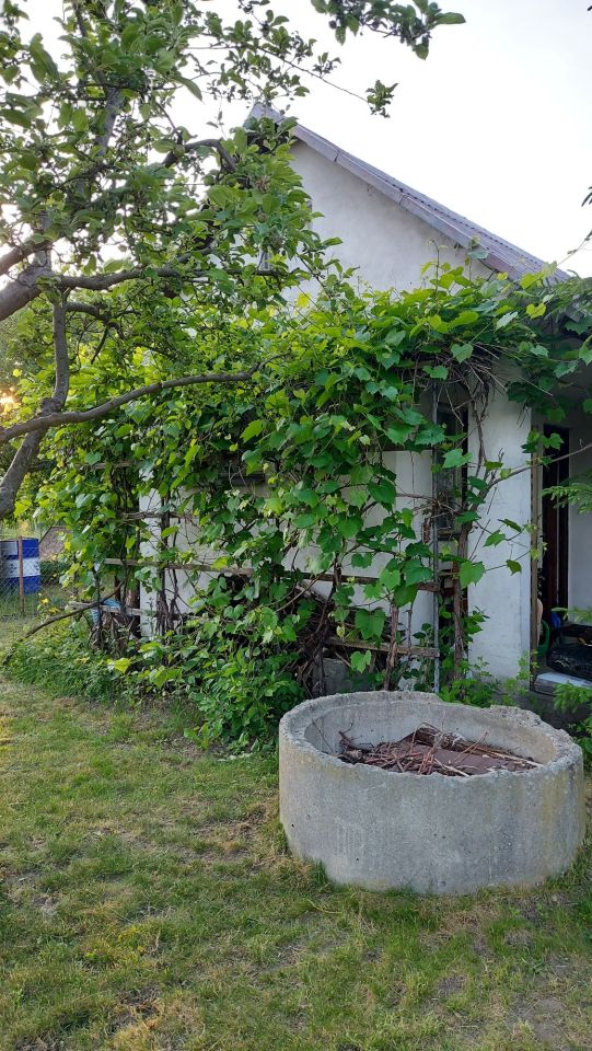 Działka rod Krzeptów. Zdjęcie 6