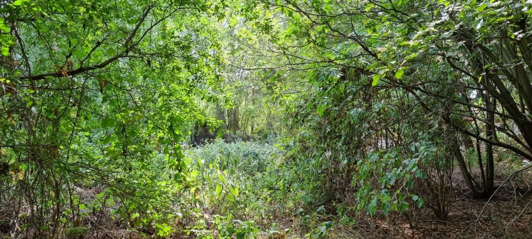 Działka budowlana Strzeniówka. Zdjęcie 8