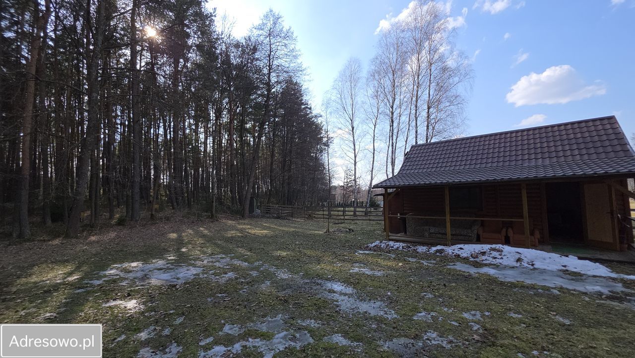 Działka leśna Wólka Łosiniecka. Zdjęcie 7