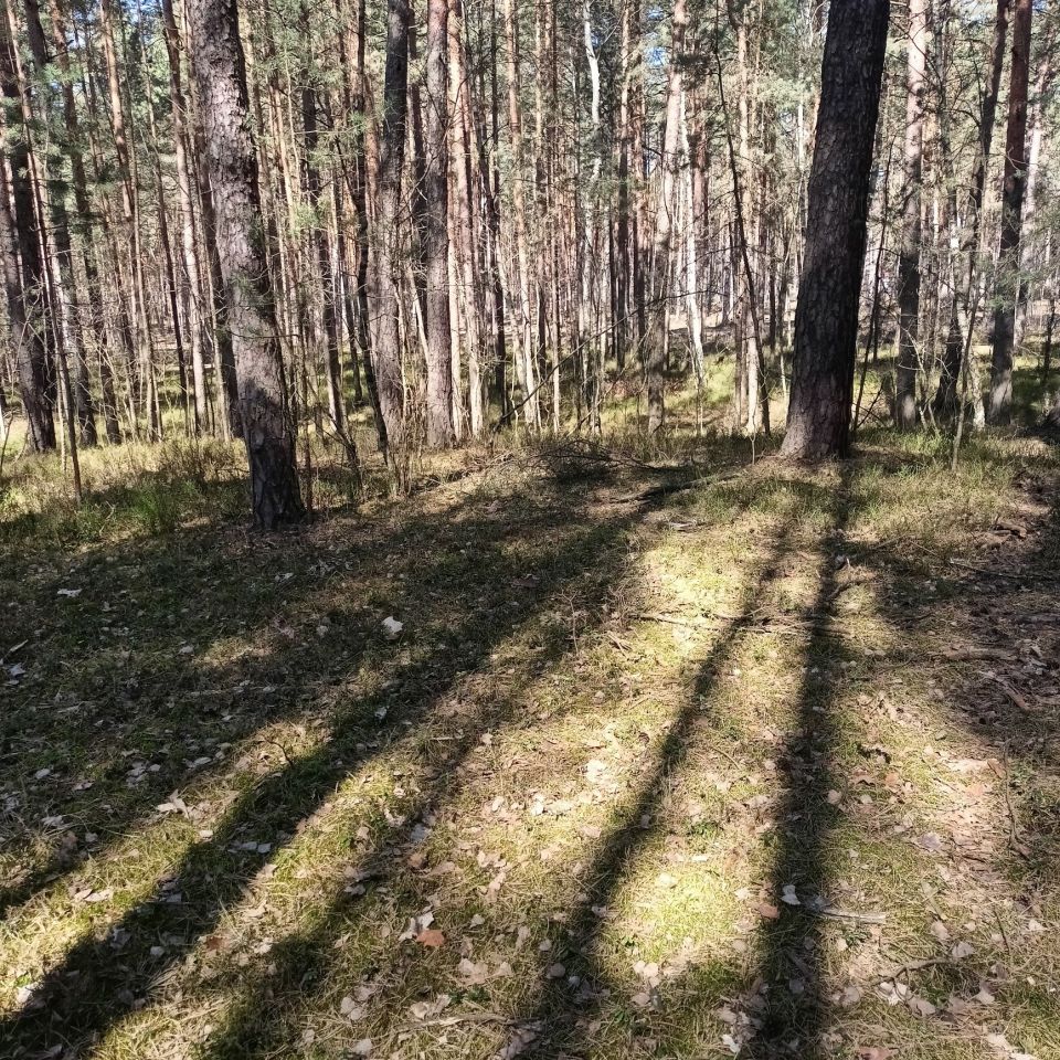 Działka budowlana Żarki-Letnisko, ul. Poranna. Zdjęcie 2