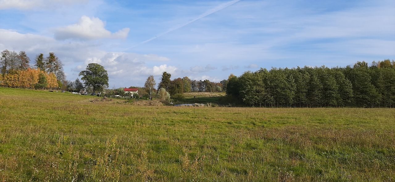 Działka rolno-budowlana Warkałki. Zdjęcie 2