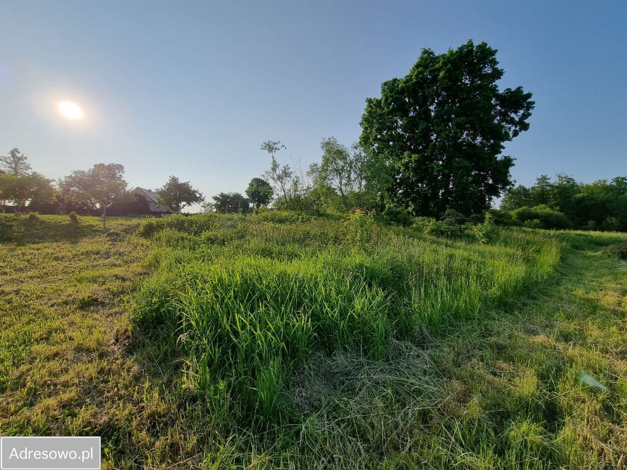 Działka budowlana Bieniowice. Zdjęcie 13