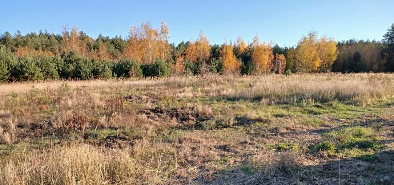 Działka budowlana Adamów-Wieś, ul. Szeroka