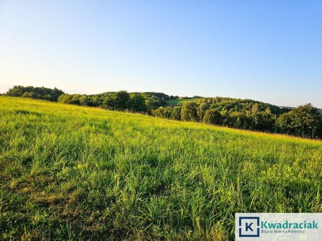 Działka rolna Lutcza. Zdjęcie 10