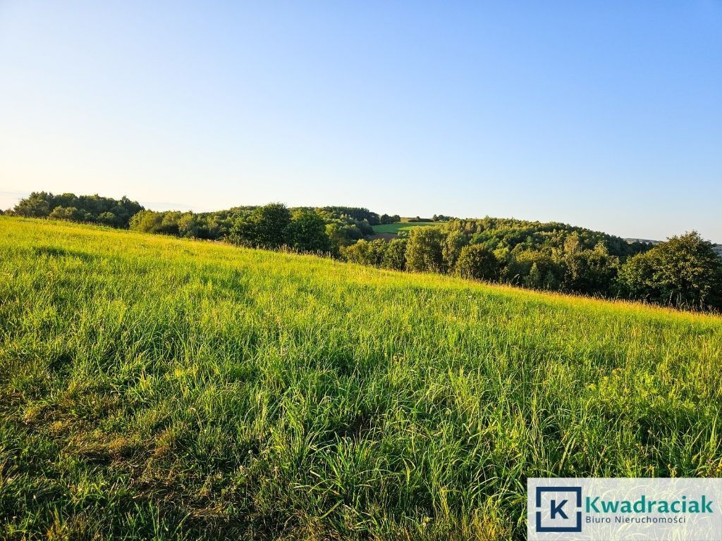 Działka rolna Lutcza. Zdjęcie 10
