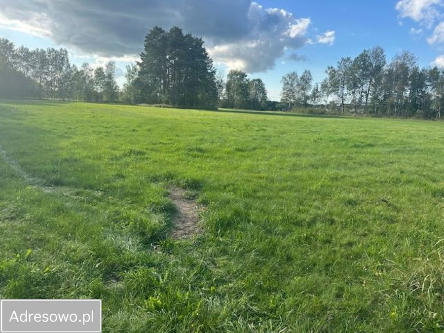 Działka rolna Zbójna