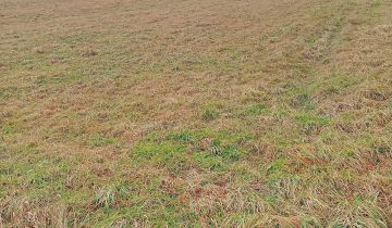 Działka budowlana Lipowa