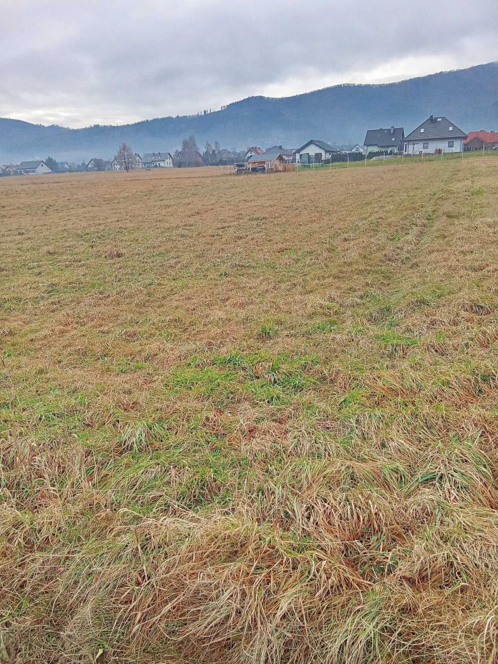 Działka budowlana Lipowa. Zdjęcie 2