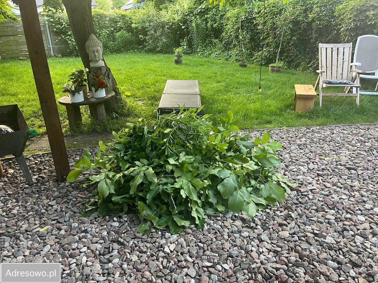 dom wolnostojący, 3 pokoje Puszczykowo, ul. Gołębia. Zdjęcie 3