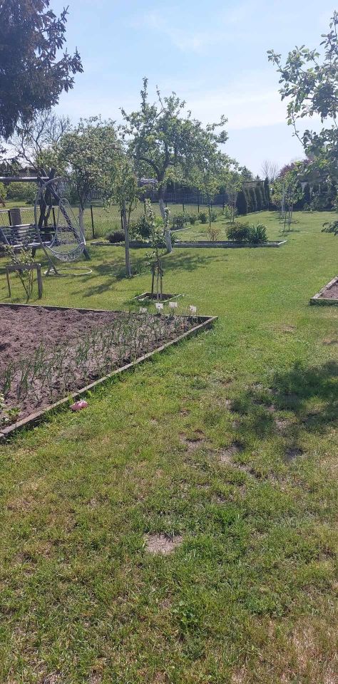 Działka rod Grochowiska. Zdjęcie 29