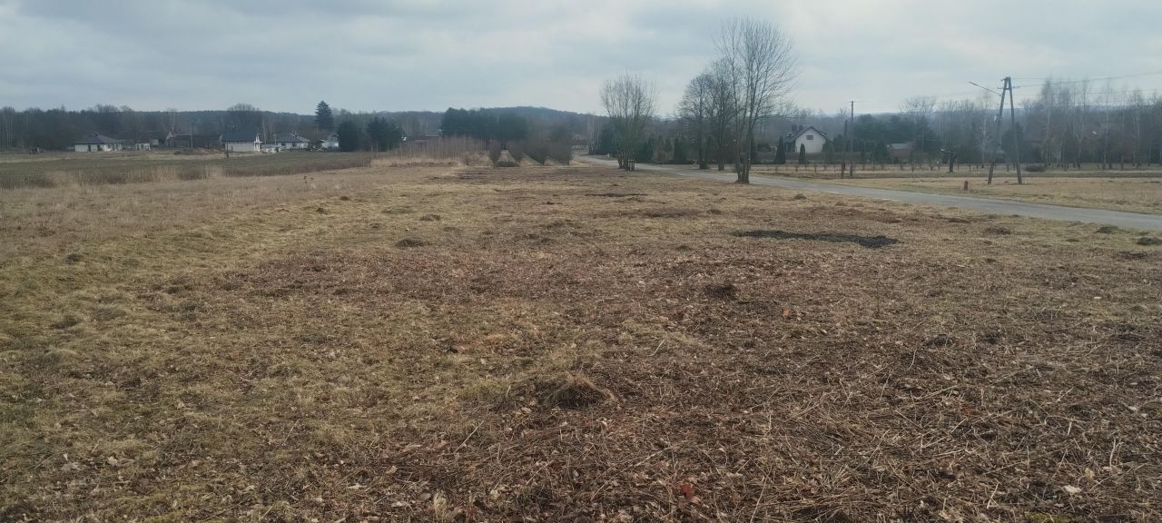 Działka rolna Gostomia. Zdjęcie 6