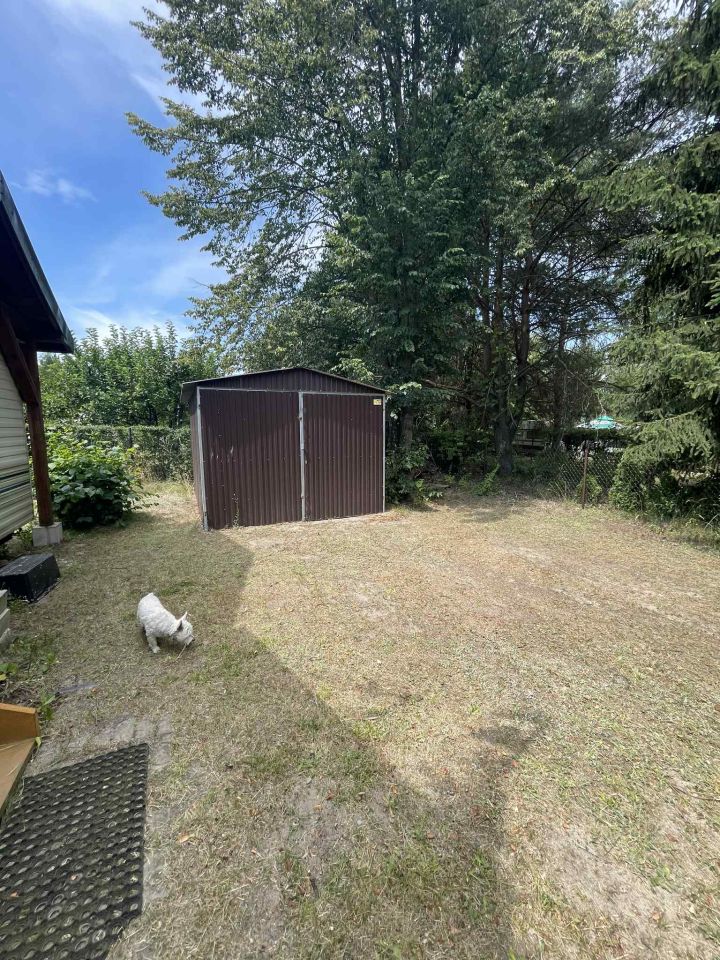 Działka rekreacyjna Wytyczno Kochanowskie. Zdjęcie 6