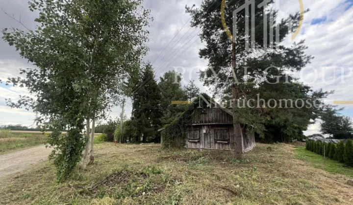 Działka siedliskowa Gołąb