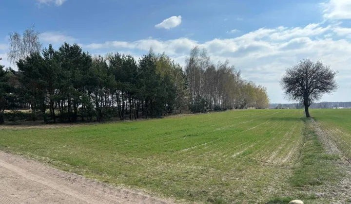 Działka budowlana Kowale Księże