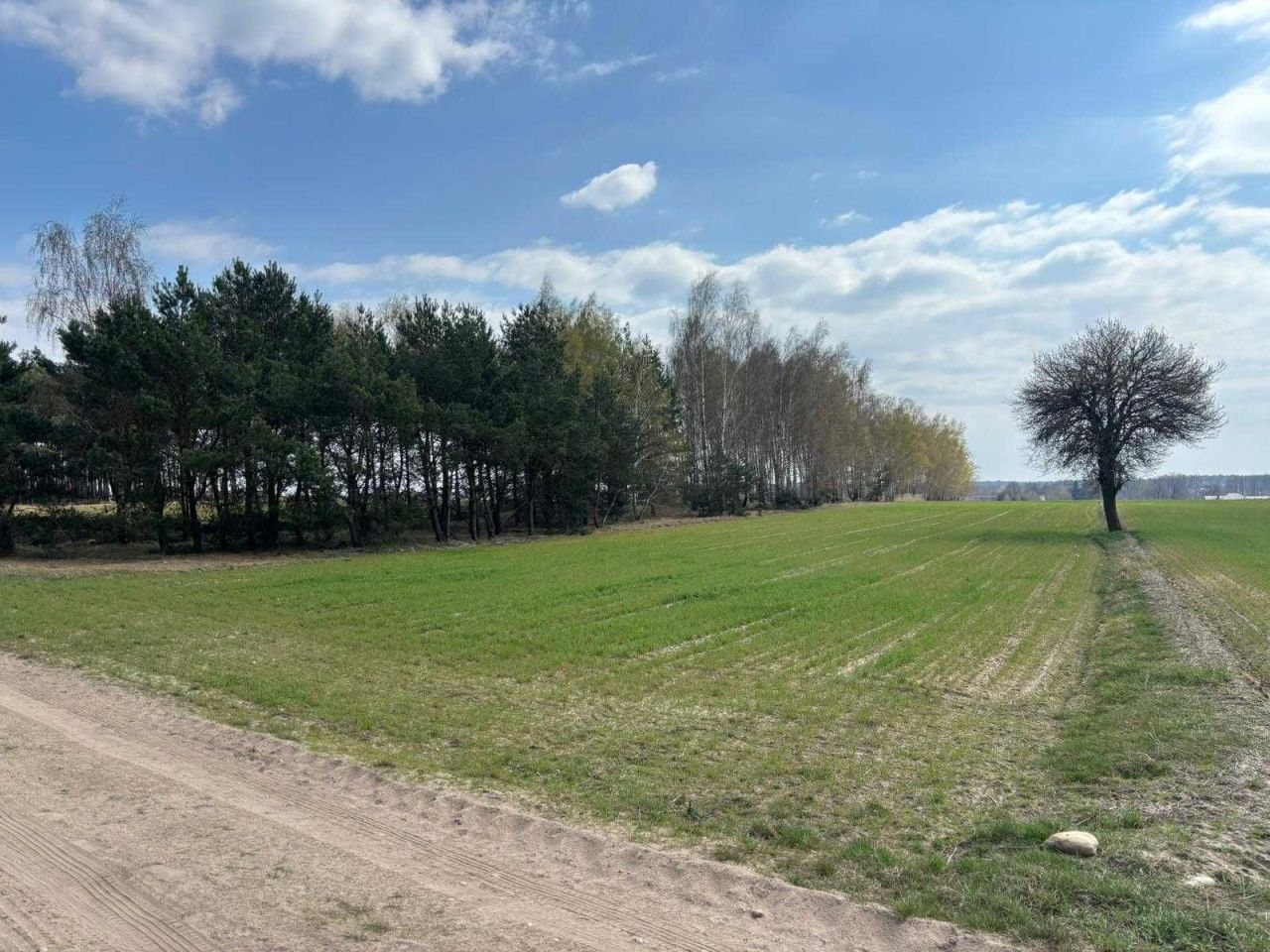 Działka budowlana Kowale Księże. Zdjęcie 1