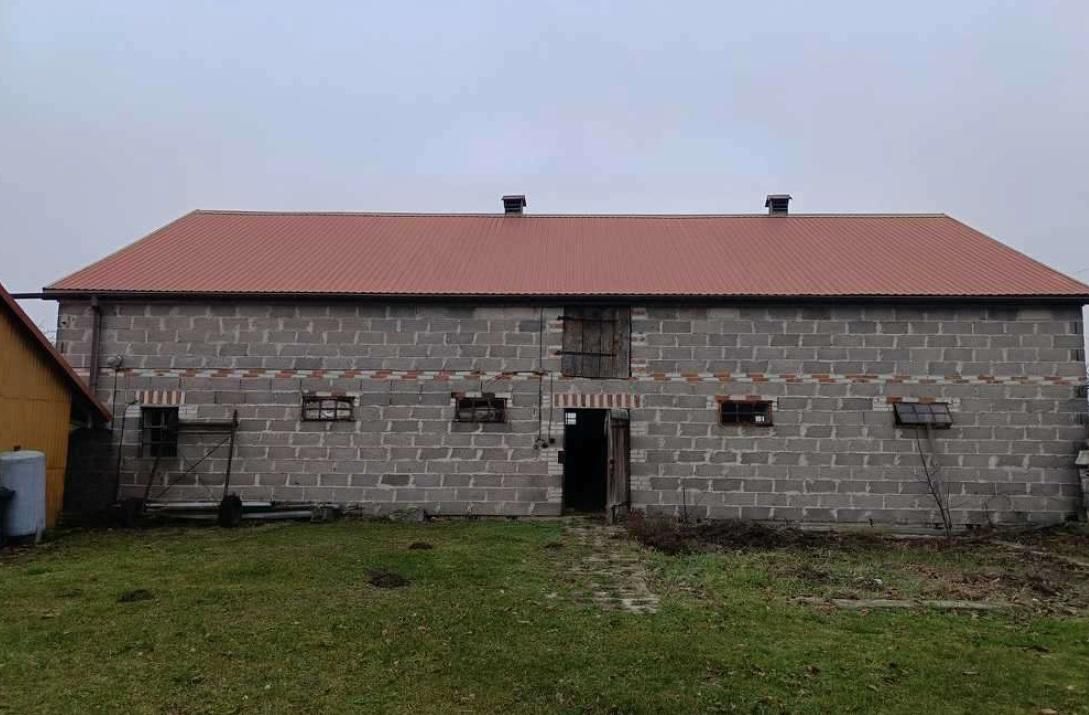 Działka siedliskowa Bachus. Zdjęcie 5