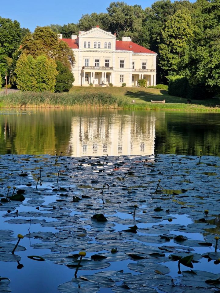 Działka rolno-budowlana Złoty Potok, ul. Wrzosowa. Zdjęcie 8