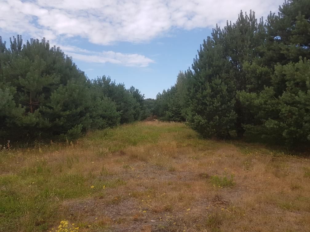 Działka budowlana Branica. Zdjęcie 10