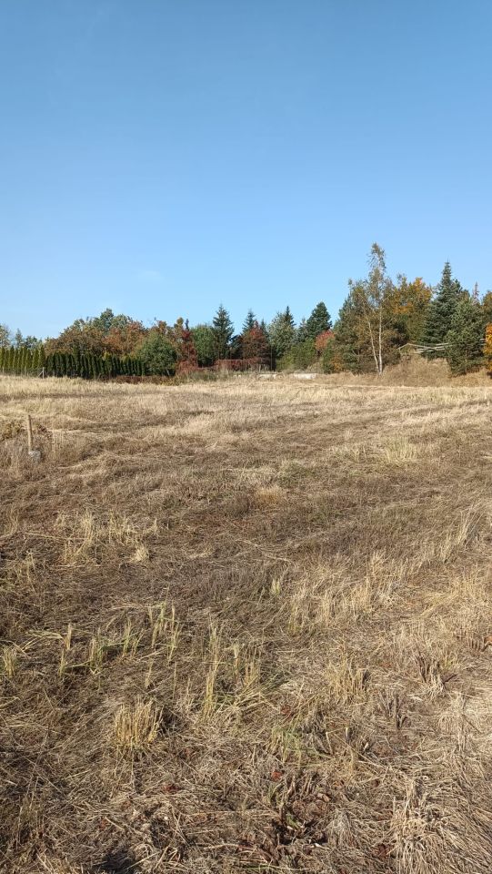 Działka budowlana Strączno. Zdjęcie 10