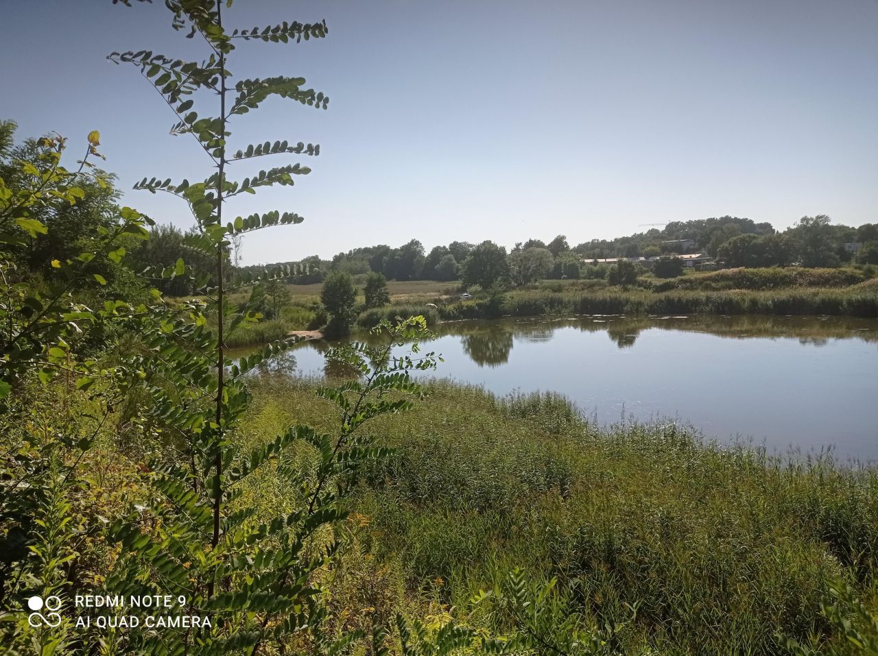 Działka rekreacyjna Ptakowice, ul. Wyzwolenia. Zdjęcie 14
