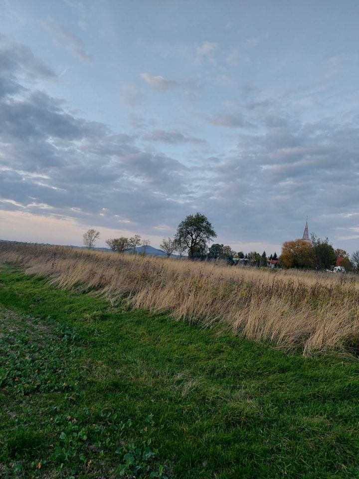 Działka budowlana Osiek Łużycki. Zdjęcie 3