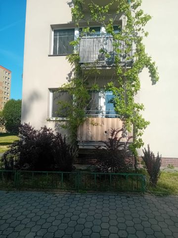Mieszkanie 3-pokojowe Bytom Miechowice, ul. Alojzego Felińskiego. Zdjęcie 1