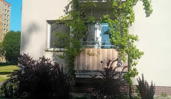 Mieszkanie 3-pokojowe Bytom Miechowice, ul. Alojzego Felińskiego