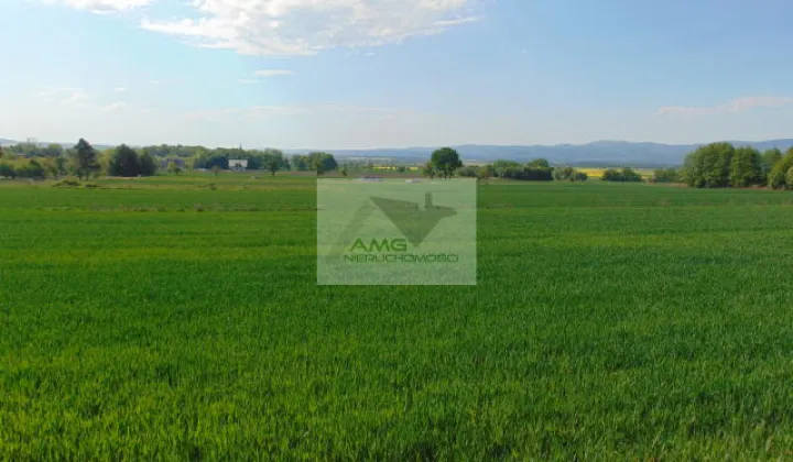 Działka siedliskowa Kiełczyn