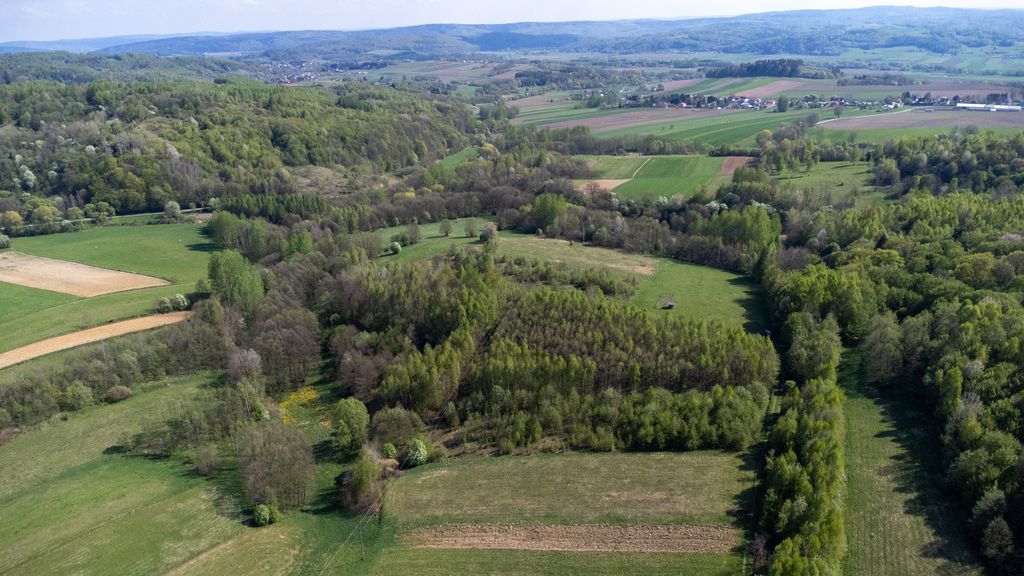 Działka rolna Laskówka. Zdjęcie 23