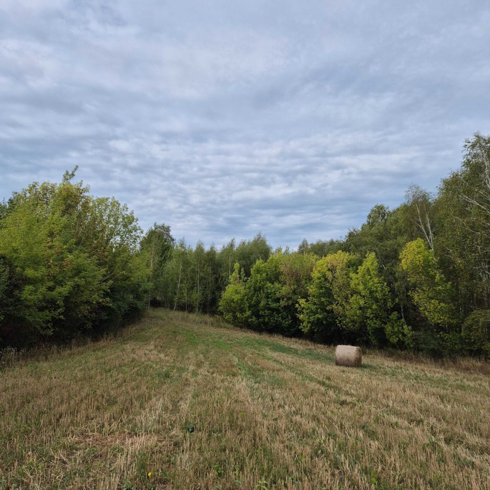 Działka rolna Szwarszowice. Zdjęcie 6
