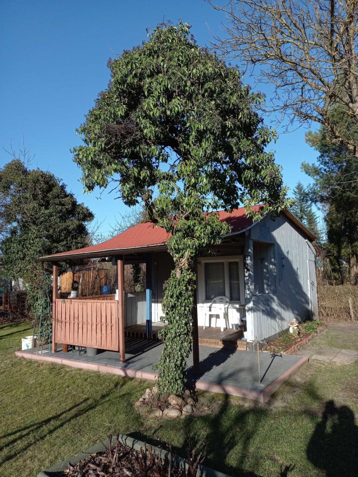 Działka rod Świdnica. Zdjęcie 4