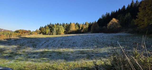 Działka rolna Dobra. Zdjęcie 1