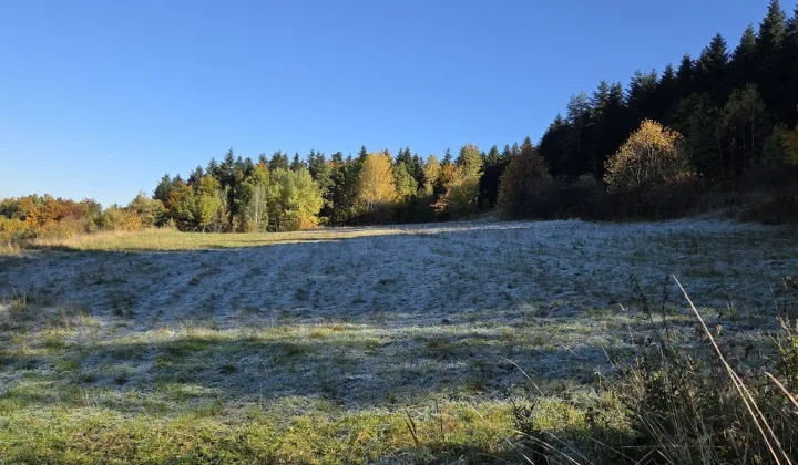 Działka rolna Dobra