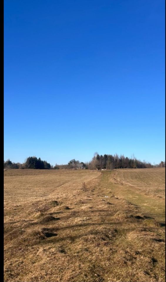 Działka rolna Ząbrowiec. Zdjęcie 3