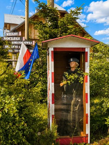 dom wolnostojący, 8 pokoi Szczawne. Zdjęcie 5